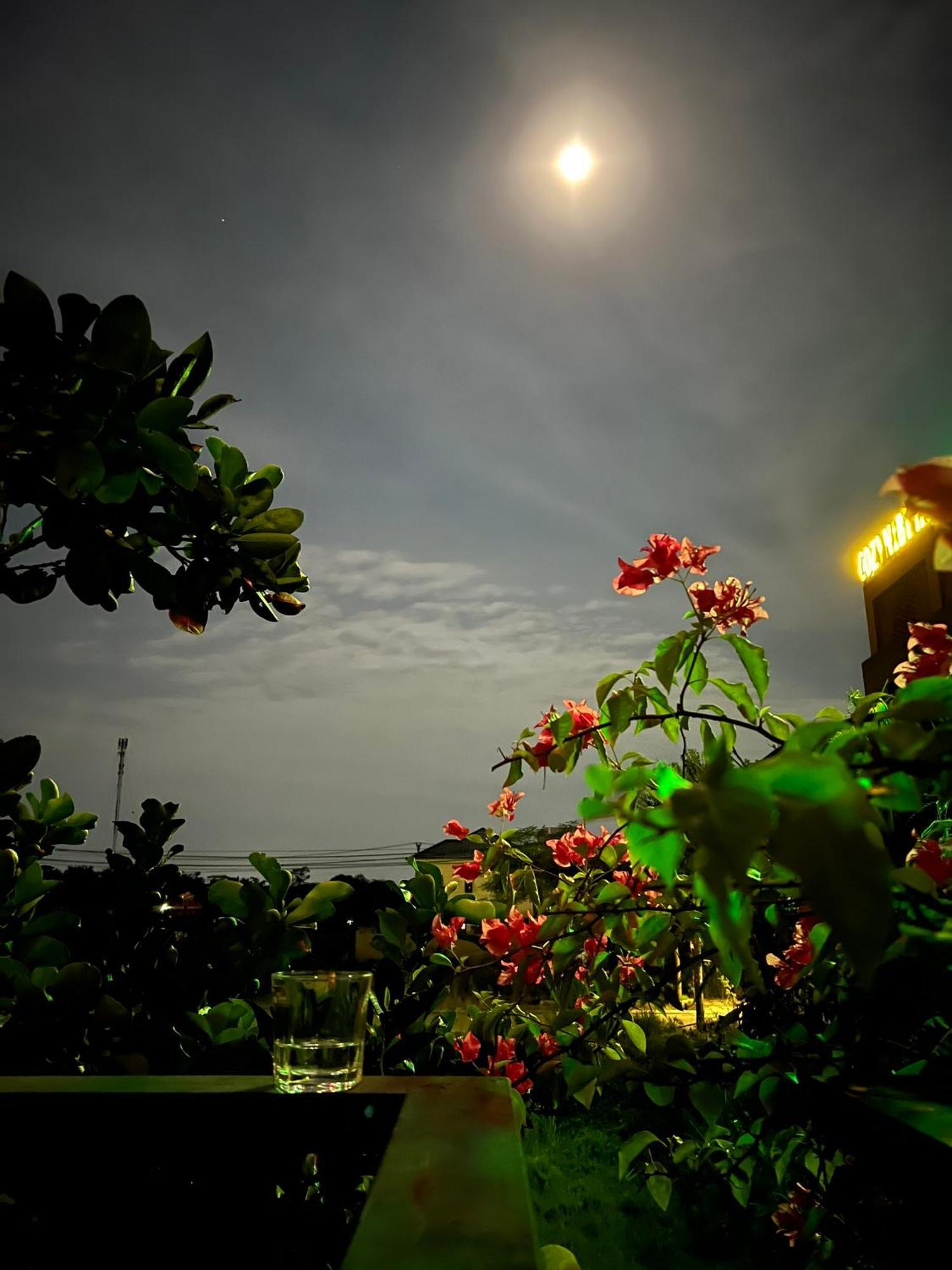 Tam Coc Golden Sun Villa Vu Lam 外观 照片